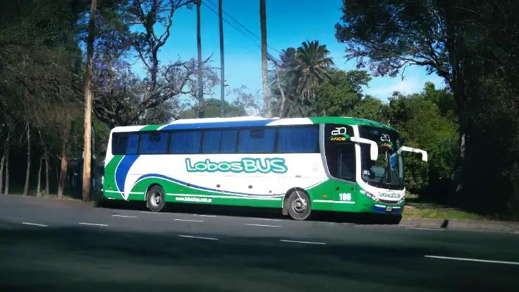 micro de Lobos Bus